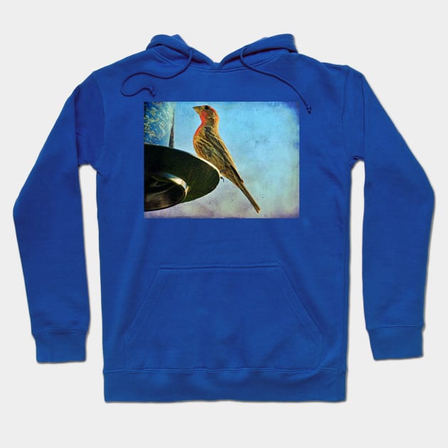 feeder finch Hoodie by aTypical bird